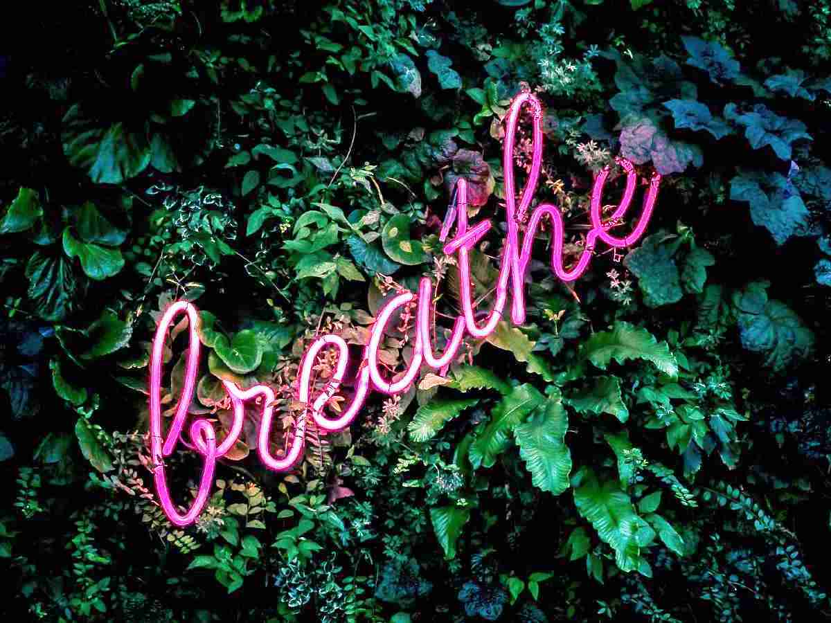 Respirazione e Yoga: dal Pranayama al Vinyasa&nbsp;Yoga